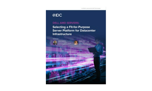 Dell AMD-Server: Auswählen einer Fit-for-Purple-Server-Plattform für die Datencenter-Infrastruktur