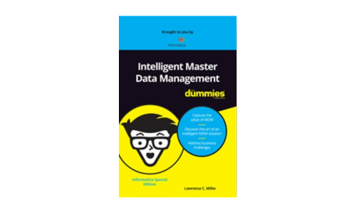 Intelligentes Master -Datenmanagement für Dummies